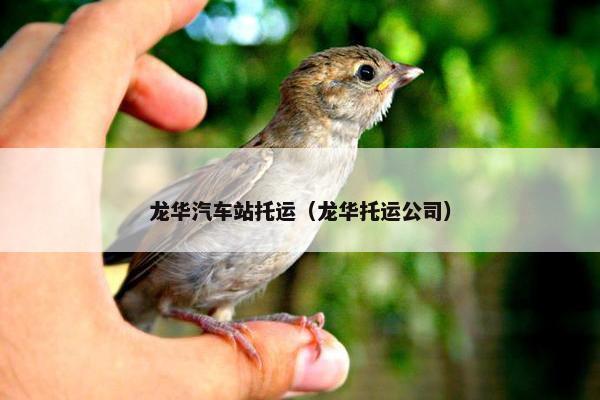 龙华汽车站托运（龙华托运公司）