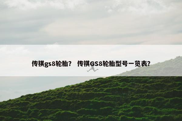 传祺gs8轮胎？ 传祺GS8轮胎型号一览表？