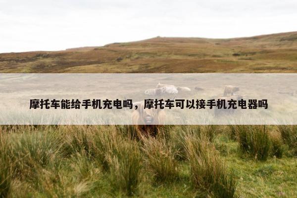 摩托车能给手机充电吗，摩托车可以接手机充电器吗