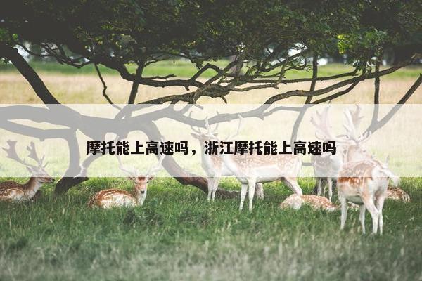 摩托能上高速吗，浙江摩托能上高速吗