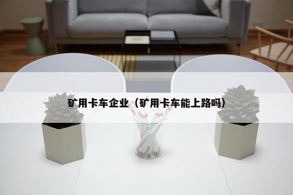 矿用卡车企业（矿用卡车能上路吗）
