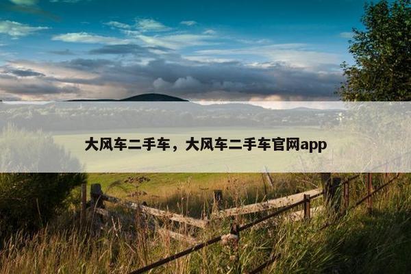 大风车二手车，大风车二手车官网app