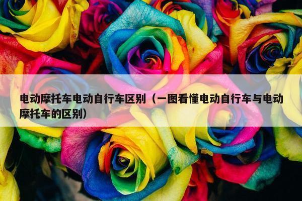 电动摩托车电动自行车区别（一图看懂电动自行车与电动摩托车的区别）