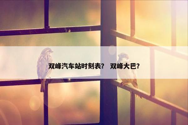 双峰汽车站时刻表？ 双峰大巴？