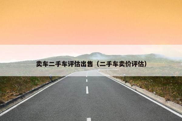 卖车二手车评估出售（二手车卖价评估）