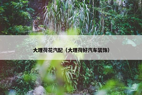 大理荷花汽配（大理荷好汽车装饰）