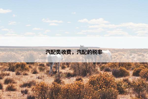 汽配类收费，汽配的税率