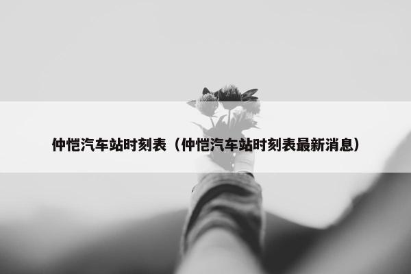 仲恺汽车站时刻表（仲恺汽车站时刻表最新消息）