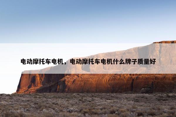 电动摩托车电机，电动摩托车电机什么牌子质量好