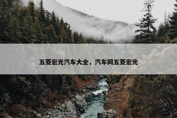 五菱宏光汽车大全，汽车网五菱宏光