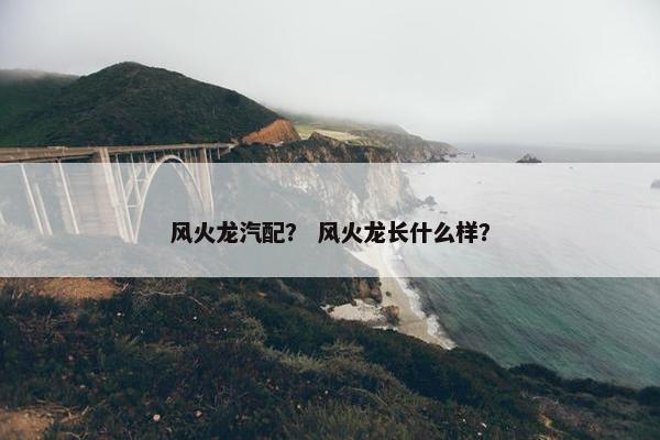 风火龙汽配？ 风火龙长什么样？
