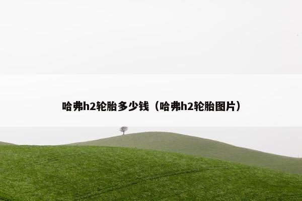 哈弗h2轮胎多少钱（哈弗h2轮胎图片）