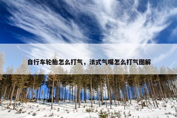 自行车轮胎怎么打气，法式气嘴怎么打气图解