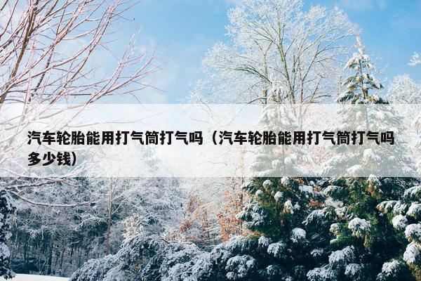 汽车轮胎能用打气筒打气吗（汽车轮胎能用打气筒打气吗多少钱）
