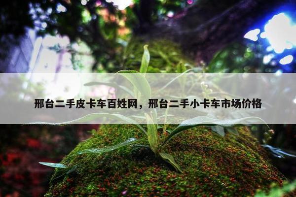 邢台二手皮卡车百姓网，邢台二手小卡车市场价格
