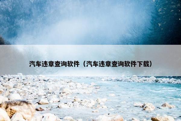 汽车违章查询软件（汽车违章查询软件下载）