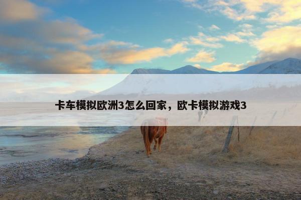 卡车模拟欧洲3怎么回家，欧卡模拟游戏3