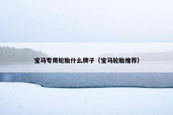 宝马专用轮胎什么牌子（宝马轮胎推荐）