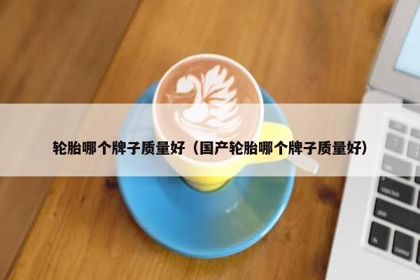 轮胎哪个牌子质量好（国产轮胎哪个牌子质量好）