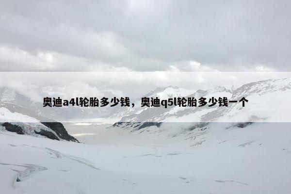 奥迪a4l轮胎多少钱，奥迪q5l轮胎多少钱一个