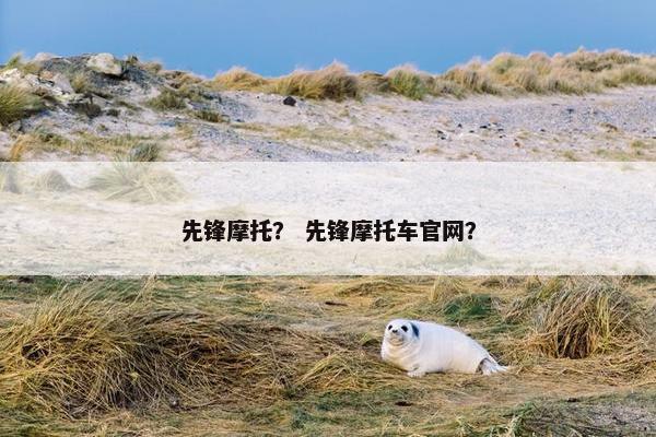 先锋摩托？ 先锋摩托车官网？
