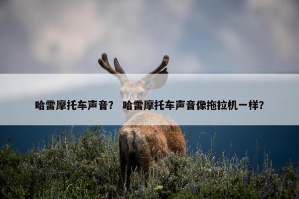 哈雷摩托车声音？ 哈雷摩托车声音像拖拉机一样？