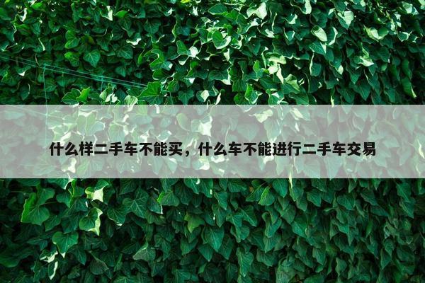什么样二手车不能买，什么车不能进行二手车交易