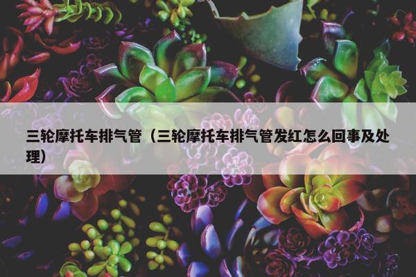 三轮摩托车排气管（三轮摩托车排气管发红怎么回事及处理）