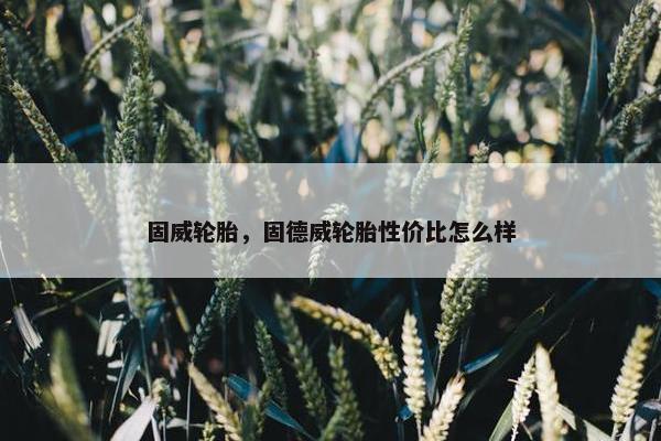 固威轮胎，固德威轮胎性价比怎么样