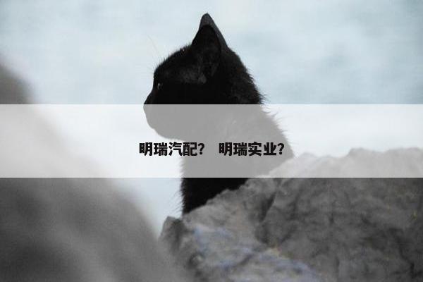 明瑞汽配？ 明瑞实业？