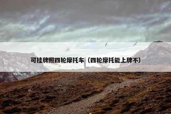 可挂牌照四轮摩托车（四轮摩托能上牌不）