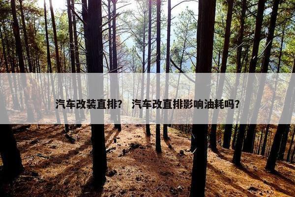汽车改装直排？ 汽车改直排影响油耗吗？