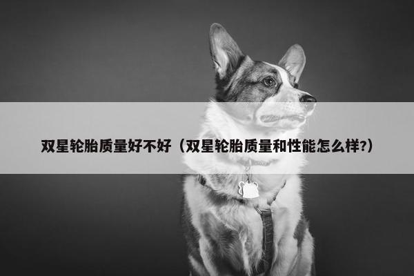 双星轮胎质量好不好（双星轮胎质量和性能怎么样?）