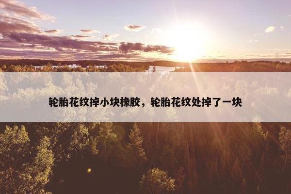 轮胎花纹掉小块橡胶，轮胎花纹处掉了一块