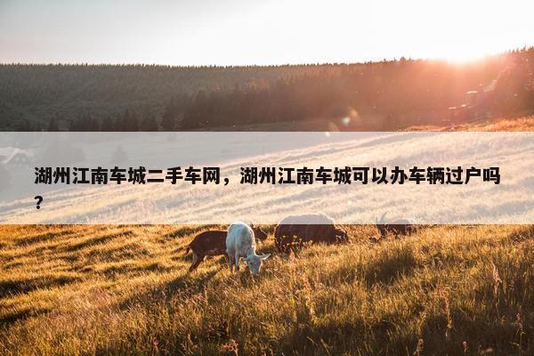 湖州江南车城二手车网，湖州江南车城可以办车辆过户吗?