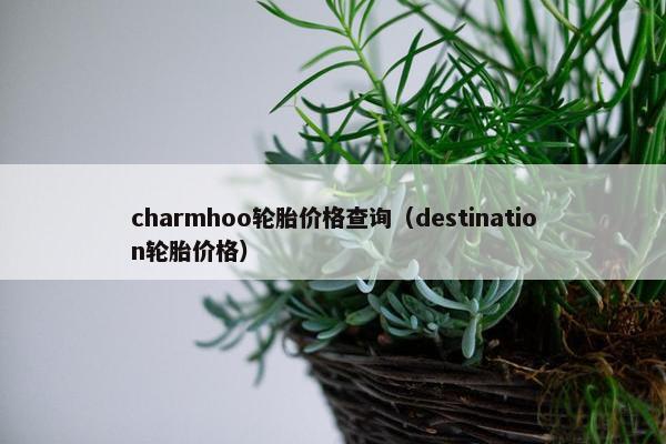 charmhoo轮胎价格查询（destination轮胎价格）