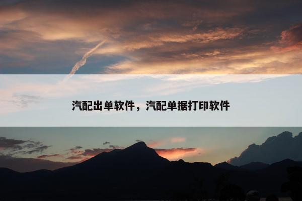 汽配出单软件，汽配单据打印软件