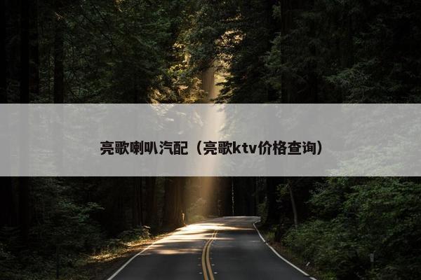 亮歌喇叭汽配（亮歌ktv价格查询）