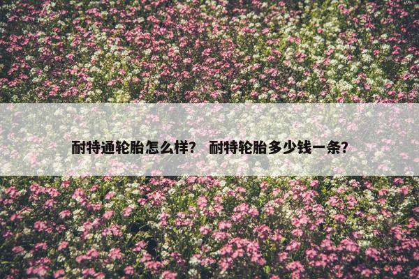 耐特通轮胎怎么样？ 耐特轮胎多少钱一条？