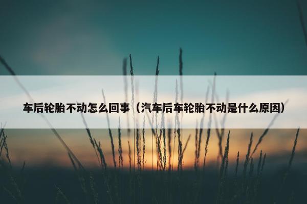 车后轮胎不动怎么回事（汽车后车轮胎不动是什么原因）