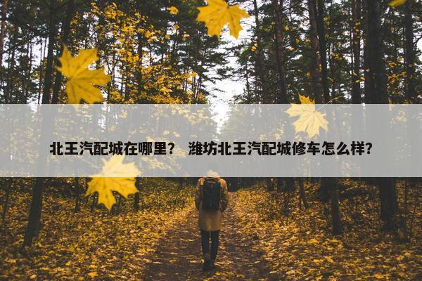 北王汽配城在哪里？ 潍坊北王汽配城修车怎么样？
