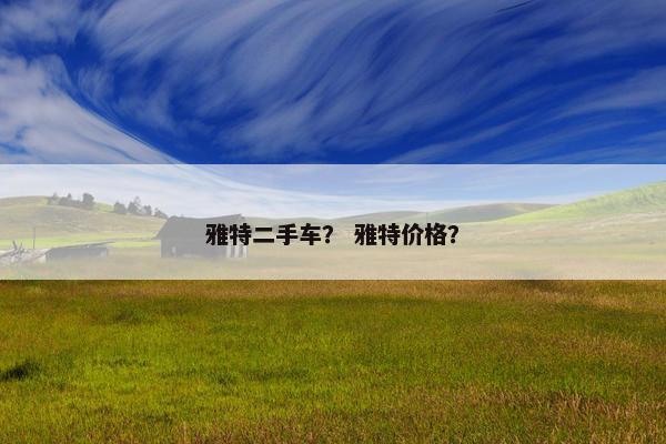 雅特二手车？ 雅特价格？