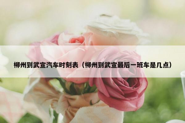 柳州到武宣汽车时刻表（柳州到武宣最后一班车是几点）