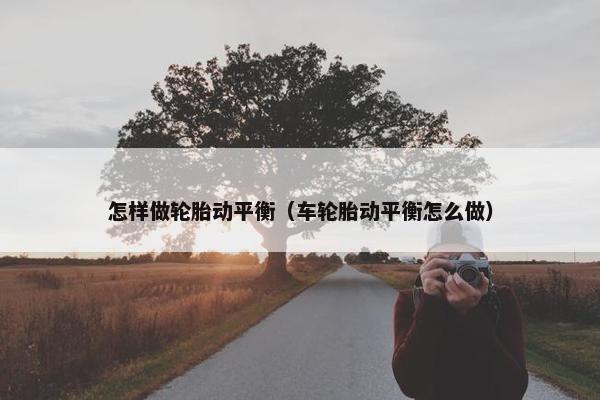 怎样做轮胎动平衡（车轮胎动平衡怎么做）