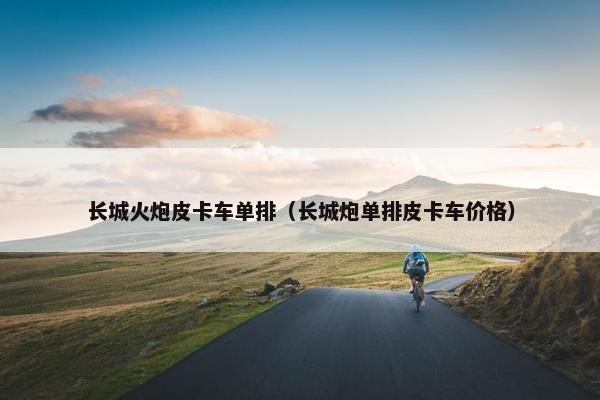 长城火炮皮卡车单排（长城炮单排皮卡车价格）