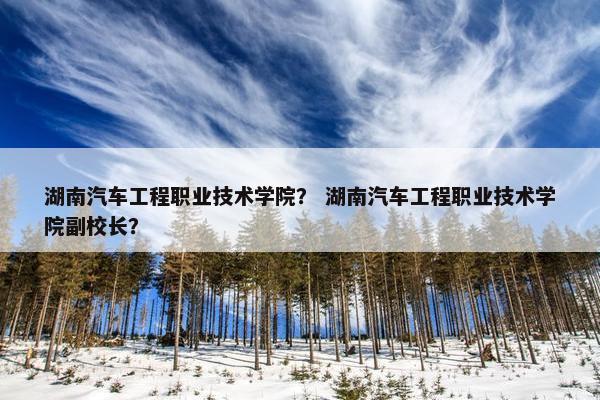 湖南汽车工程职业技术学院？ 湖南汽车工程职业技术学院副校长？