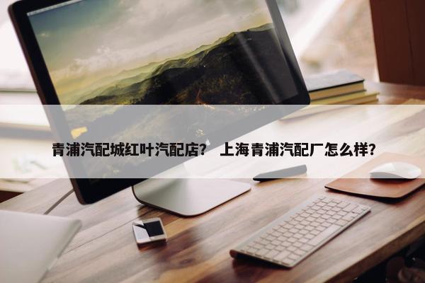 青浦汽配城红叶汽配店？ 上海青浦汽配厂怎么样？
