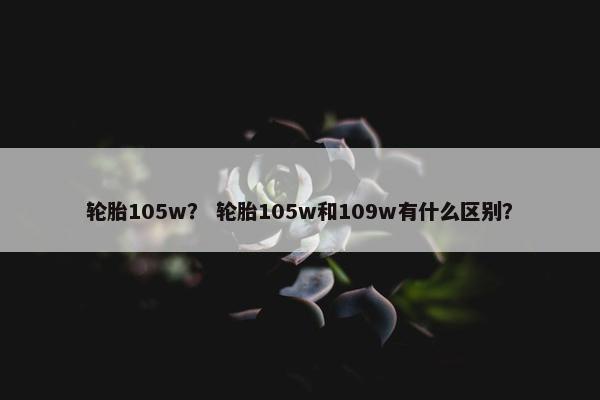 轮胎105w？ 轮胎105w和109w有什么区别？
