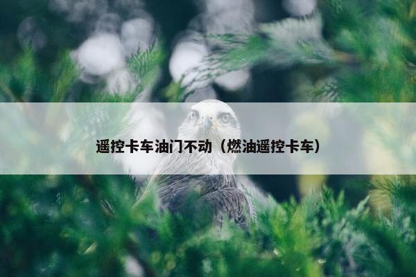 遥控卡车油门不动（燃油遥控卡车）