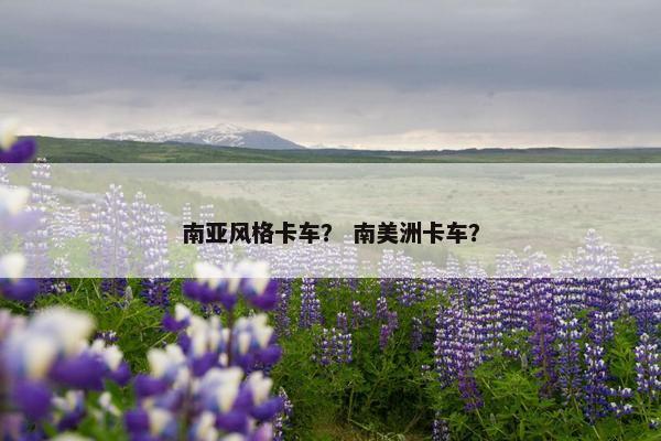 南亚风格卡车？ 南美洲卡车？